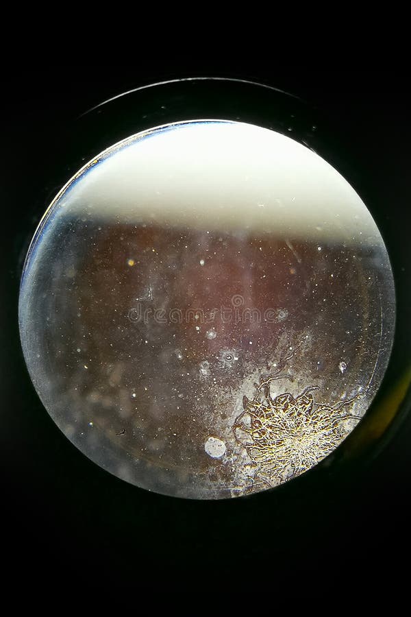 Moldy and Dust on Dirty Lens Camera Image Closeup. Stock Image Image