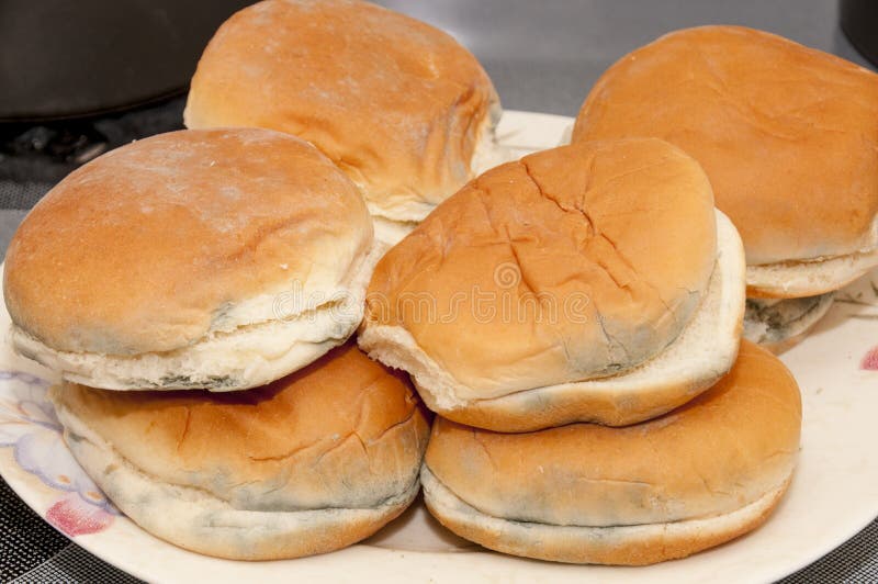Moldy Hamburger Buns stock image. Image of bread, contaminated 69180615