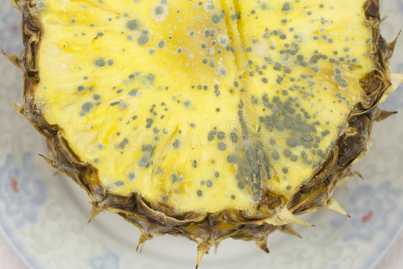 108 Rotten Pineapple Stock Photos Free & RoyaltyFree Stock Photos
