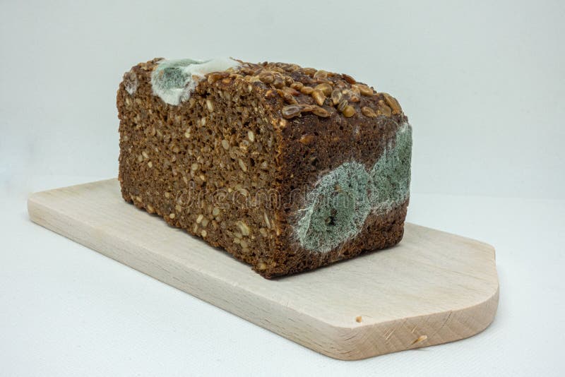 Mouldy rye bread stock photo. Image of grain, green, moldiness 36227102