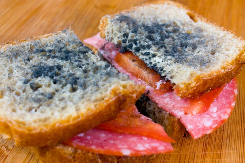 moldy-sandwich-salami-tomatoes-chopping-board-31567477.jpg