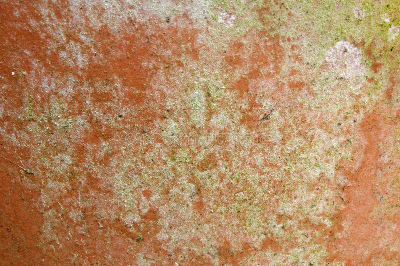 Moldy Terracotta Pot Texture Stock Image Image of brown, moldy 5375569