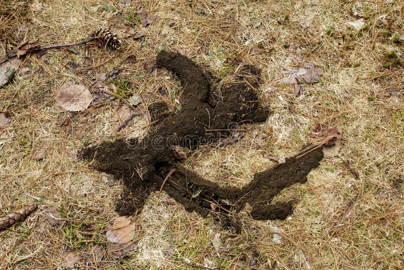 Mole Tunnels stock image. Image of abstract, nature, mole Biology Diagrams