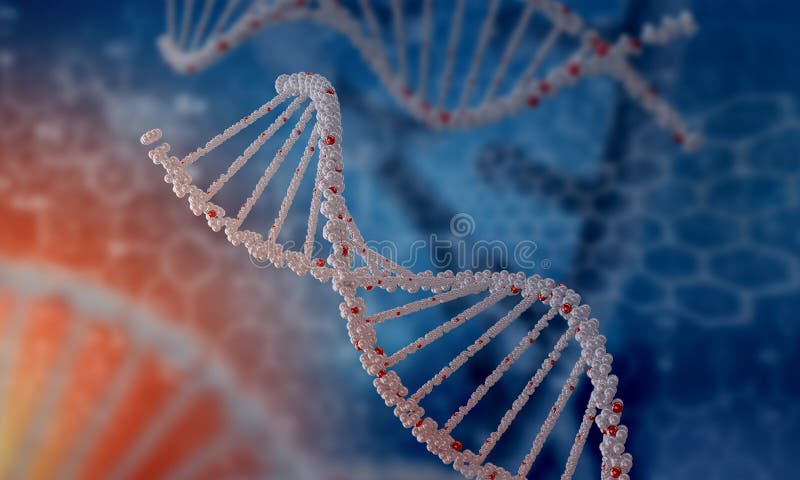 Molecola del DNA