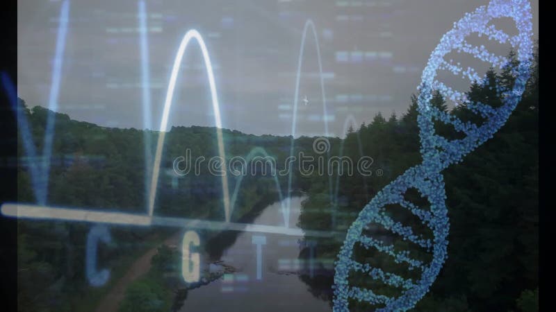 Molecular double helix floating over forest valley, glowing waveforms rising, code blocks moving stock video