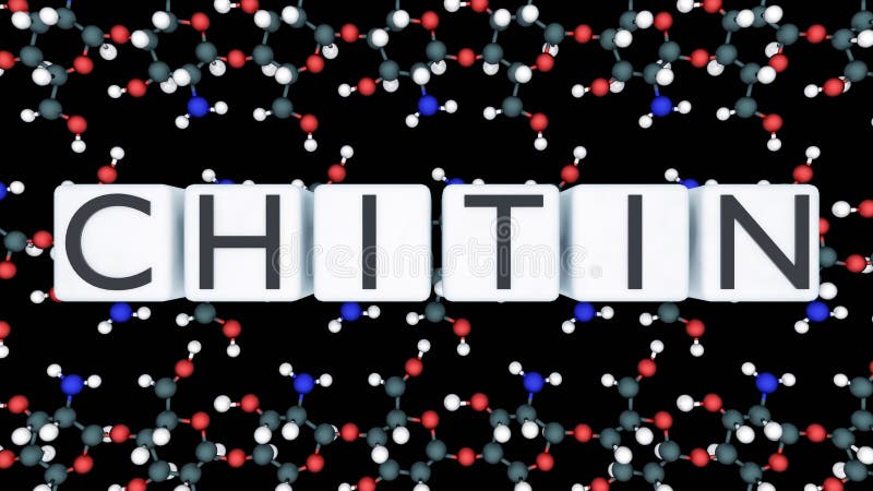 The molecular structure of Chitin and the word \'CHITIN\' on cubes. royalty free illustration