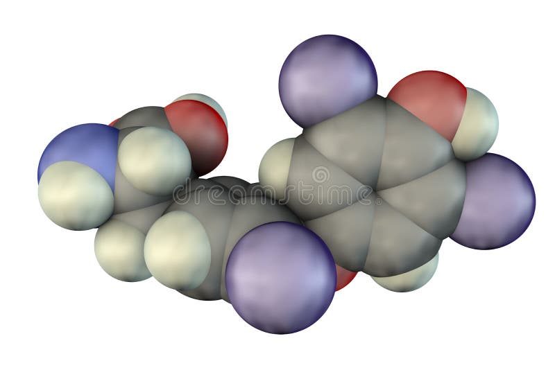 Molecule of thyroxine, a thyroid hormone royalty free illustration Molecule of thyroxine, a thyroid hormone royalty free illustration