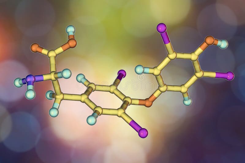 Molecule van thyroxine, een schildklierhormoon stock illustratie Molecule van thyroxine, een schildklierhormoon stock illustratie
