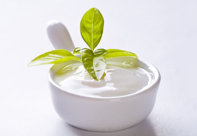 White sauce with basil leaves. White sauce with basil leaves
