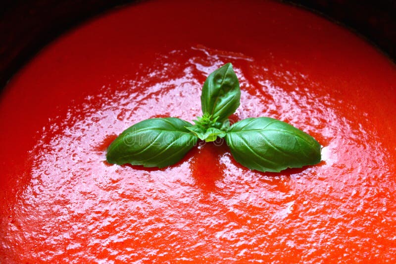 Tomato pasta sauce or soup and fresh basil. Tomato pasta sauce or soup and fresh basil