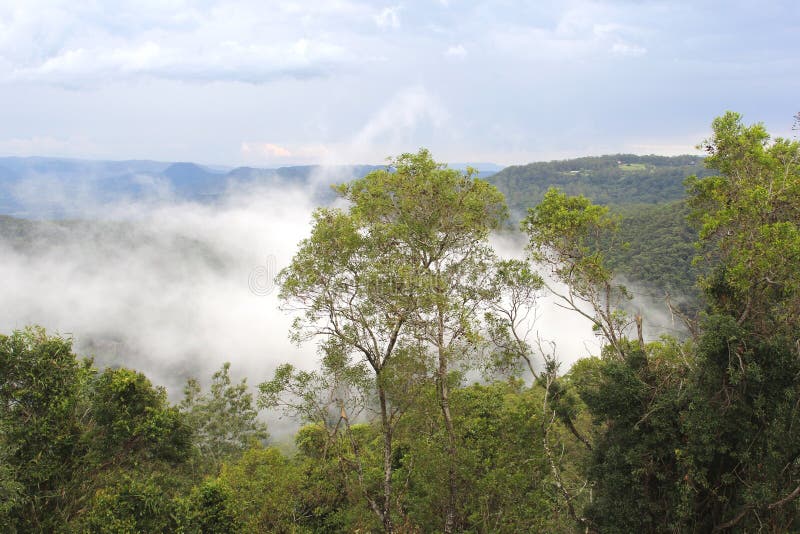 Moln i dalen i den Tamborine bergnationalparken, Australien royaltyfria bilder Moln i dalen i den Tamborine bergnationalparken, Australien royaltyfria bilder