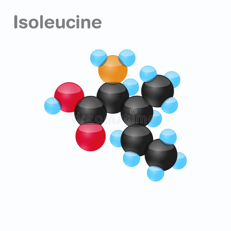 Molécula de la isoleucina, Ile, un aminoácido usado en la biosíntesis de proteínas ilustración del vector Molécula de la isoleucina, Ile, un aminoácido usado en la biosíntesis de proteínas ilustración del vector