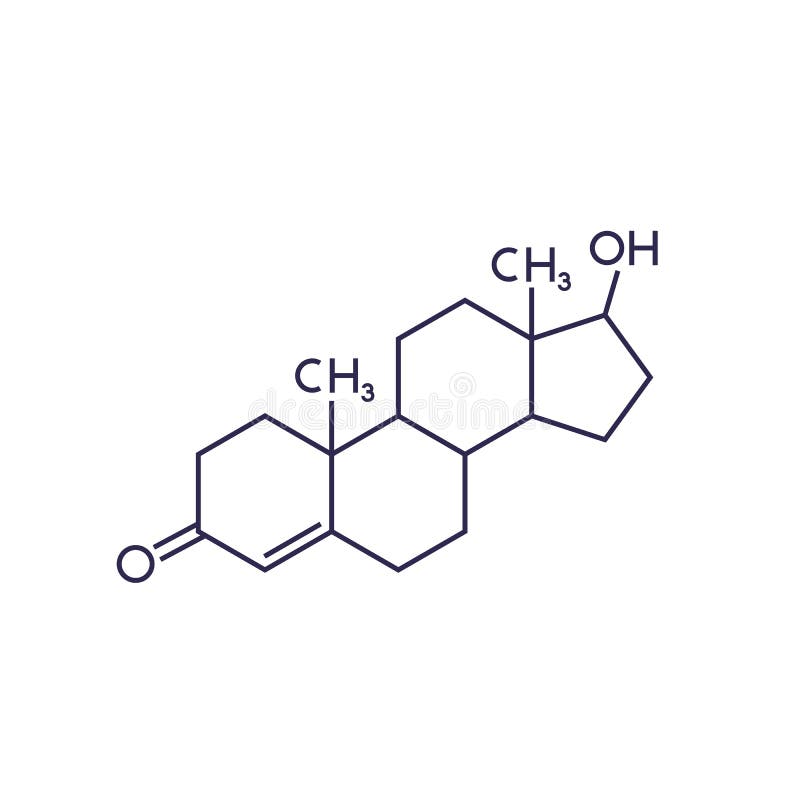 Molécula de testosterona sobre vector blanco