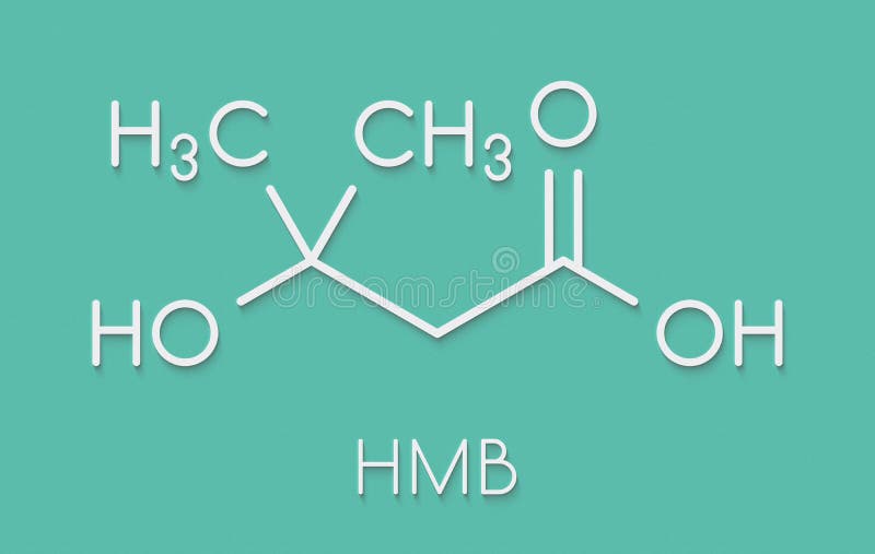 Beta-hydroxy beta-methylbutyric acid (HMB) leucine metabolite molecule. Used as supplement, may increase strength and muscle mass. Skeletal formula. Beta-hydroxy beta-methylbutyric acid (HMB) leucine metabolite molecule. Used as supplement, may increase strength and muscle mass. Skeletal formula