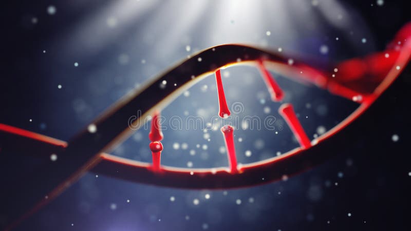 3d illustration of DNA molecule. Closeup of concept human genome. 3d illustration of DNA molecule. Closeup of concept human genome.