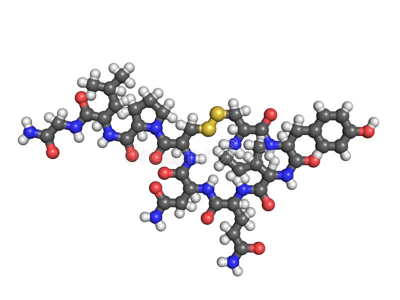 Molécula do Oxytocin no branco ilustração royalty free Molécula do Oxytocin no branco ilustração royalty free