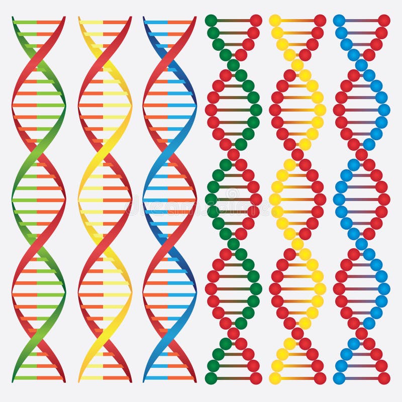 Molécules de l'ADN. illustration libre de droits Molécules de l'ADN. illustration libre de droits