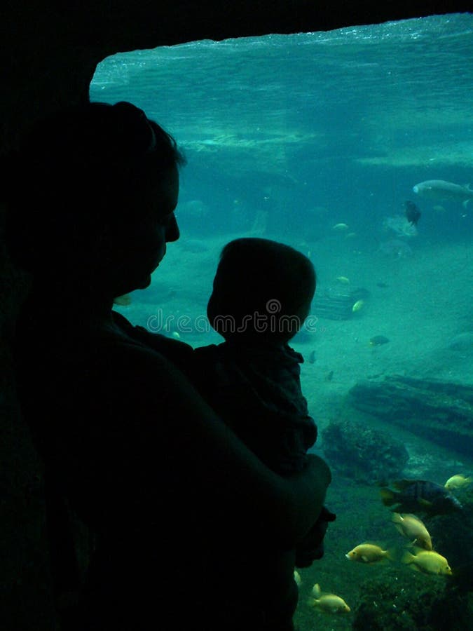 Mom & Baby At The Aquarium Picture. Image 246872