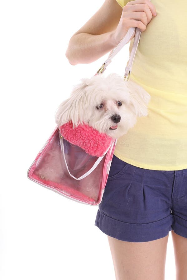 Mom carrying pooch in purse