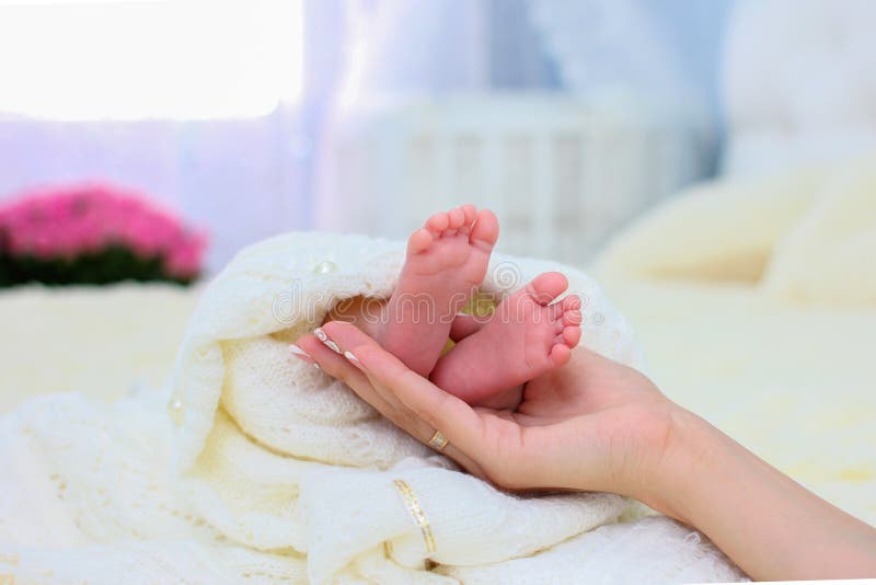 Mom`s hands hold the small legs of her newborn baby, wrapped in a white warm blanket stock photography Mom`s hands hold the small legs of her newborn baby, wrapped in a white warm blanket stock photography