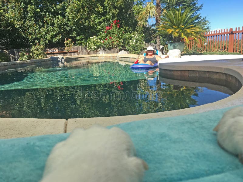 Sprocket takes a photo of mom on her float. Sprocket takes a photo of mom on her float.