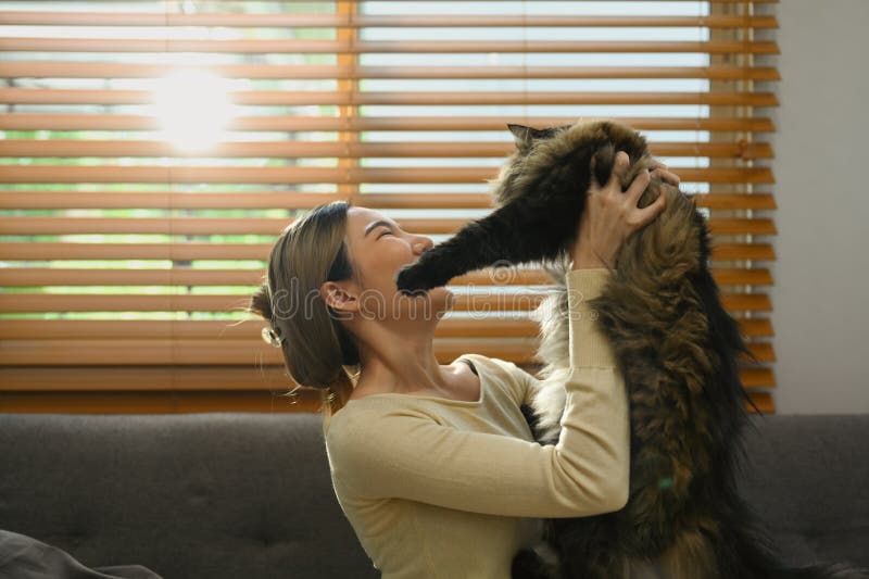 Momento feliz de una joven alegre jugando con un gato mientras se relaja en un sofá moderno en casa imágenes de archivo libres de regalías