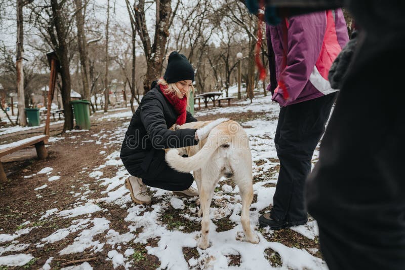 Momentos lúdicos con un perro al aire libre durante un día de invierno nevado foto de archivo libre de regalías