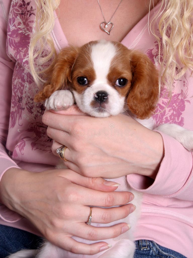 House Full Shy Nude Girls Stock Photos - Free & Royalty-Free Stock