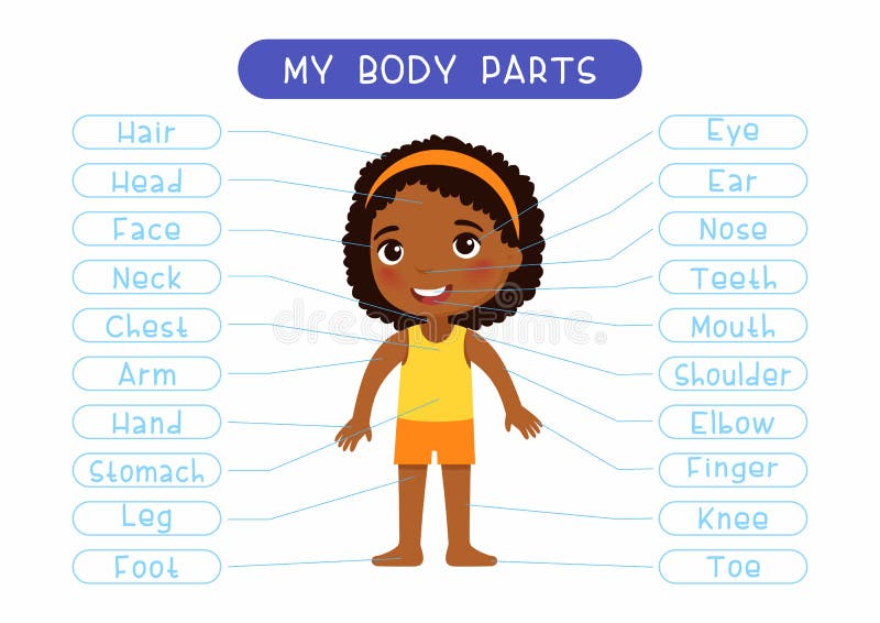 Mon corps parties infographie éducative affiche pour enfants. petite fille africaine mignonne montrant des noms d'organes externes