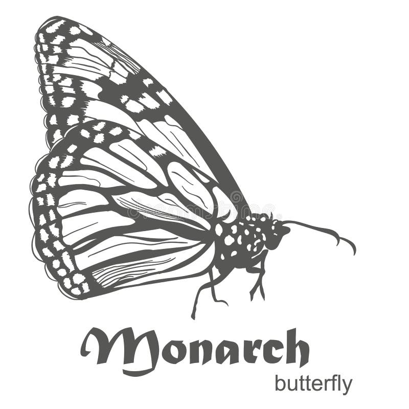 Monarch Butterfly Side View Stock Illustrations 72 Monarch