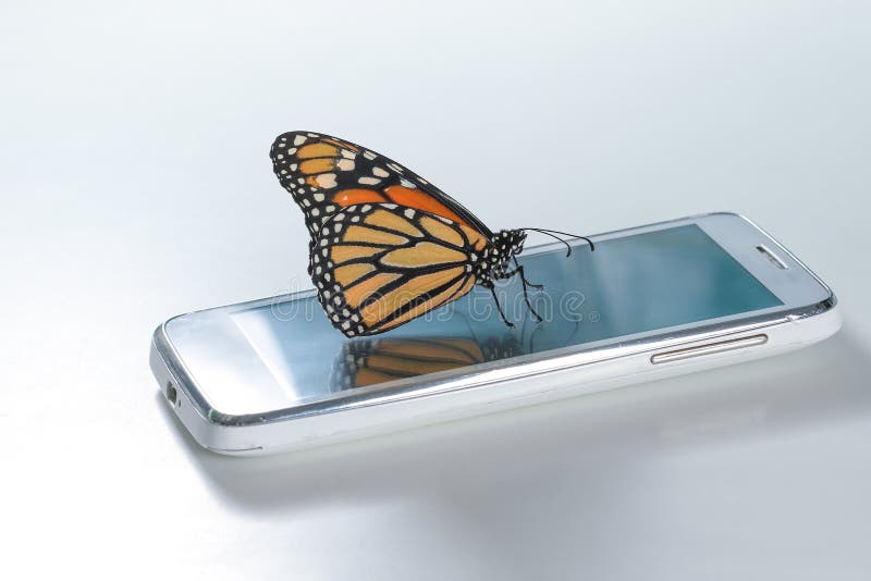 Monarch Butterfly Danaus plexippus on the white cell phone, clean energy royalty free stock photos Monarch Butterfly Danaus plexippus on the white cell phone, clean energy royalty free stock photos