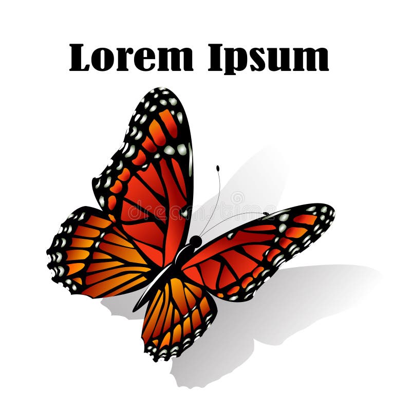 Download The Monarch Butterfly Vector Stock Vector - Illustration ...