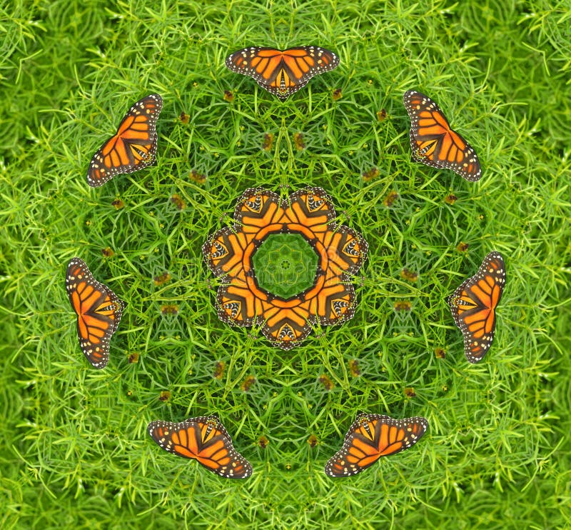 Original was a photo of a monarch butterfly on a fern bush. Original was a photo of a monarch butterfly on a fern bush