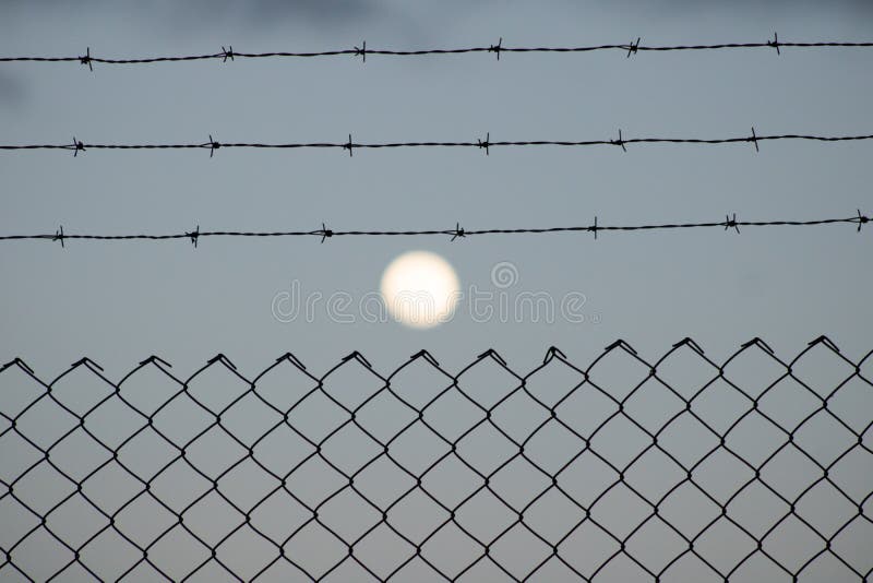 Mond zwischen Stangen lizenzfreie stockfotografie Mond zwischen Stangen lizenzfreie stockfotografie