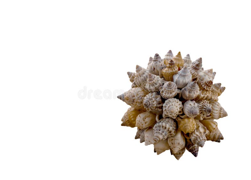 Monde de concept de diversité, de tourisme et de voyage : Boule décorative faite de divers coquillages d'isolement sur le fond bl photos stock Monde de concept de diversité, de tourisme et de voyage : Boule décorative faite de divers coquillages d'isolement sur le fond bl photos stock