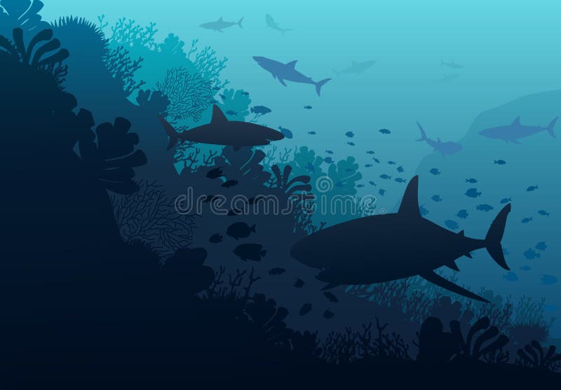 Mondo subacqueo dell'oceano con lo squalo illustrazione di stock Mondo subacqueo dell'oceano con lo squalo illustrazione di stock