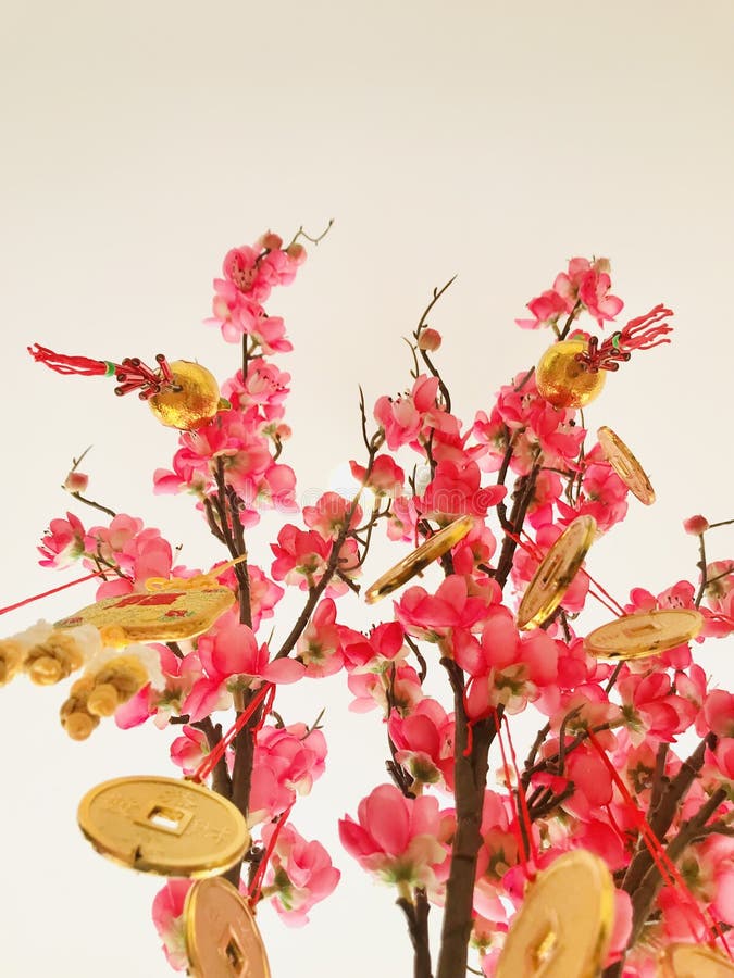Monedas de cobre dorado y encantos colgados en ramas de melocotón. disparo de ángulo bajo. Monedas de cobre dorado y encantos colgados en la rama de la flor de melocotón artificial bajo la luz del techo blanco fondo decoración china de año nuevo interior.