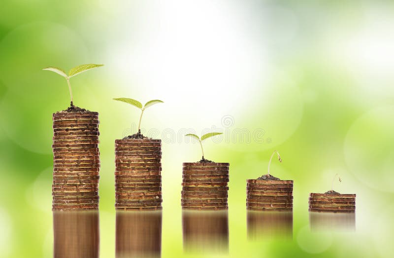 Monete dorate in suolo con le plantule che mostrano alla crisi di investimento finanziario immagini stock Monete dorate in suolo con le plantule che mostrano alla crisi di investimento finanziario immagini stock