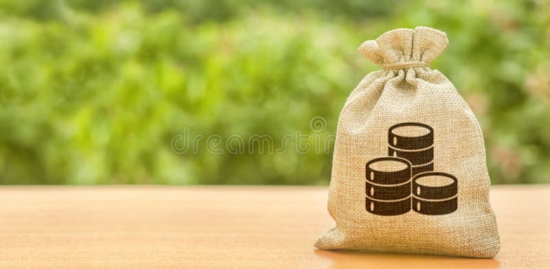 Money bag with money coin symbol. Finance and Banking. Attracting investment to development and modernization. Business, budget