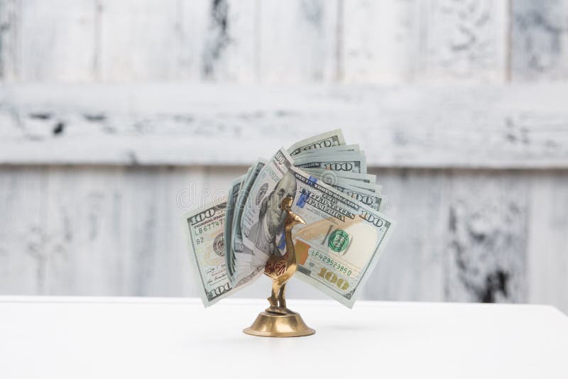 Money bird on table stock photo. Image of investment 72605080