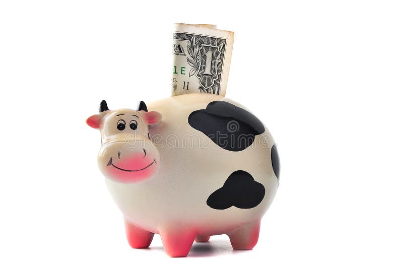 Money box. Cow with 1 dollar on a white background.