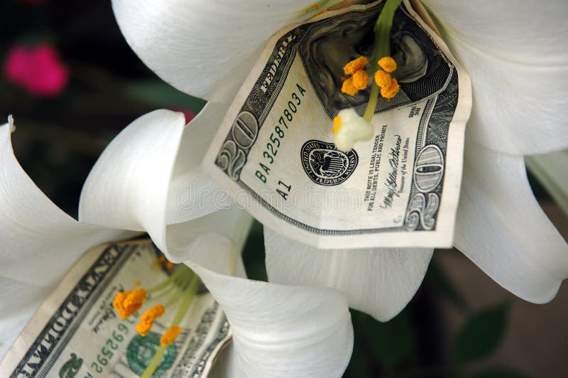 Money and flower 2 stock image. Image of dollar, bundle 285771