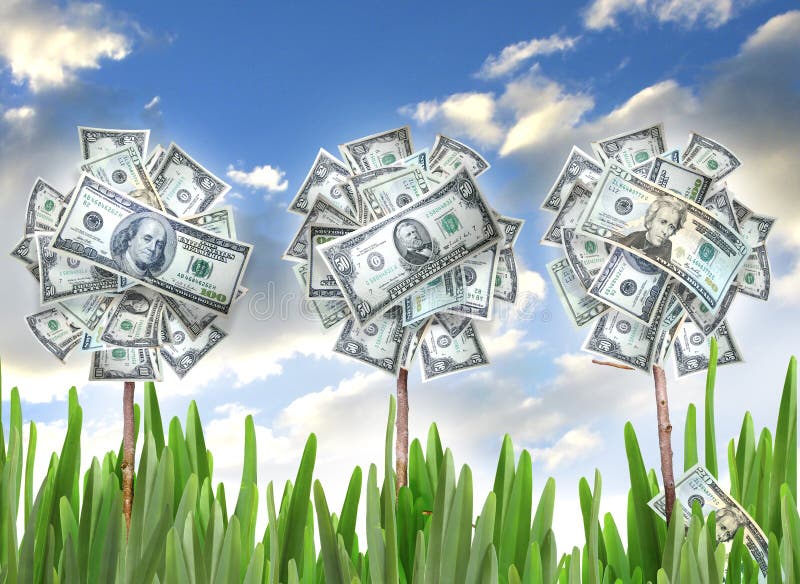 Money flowers royalty free stock images Money flowers royalty free stock images