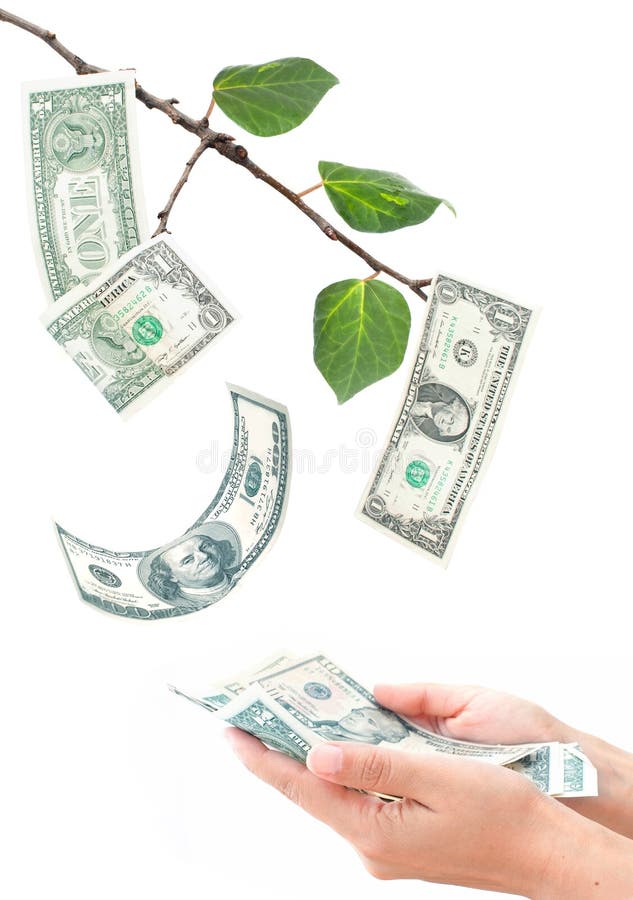 Money growing on tree