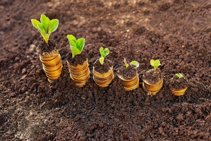 Money growth stock images Money growth stock images