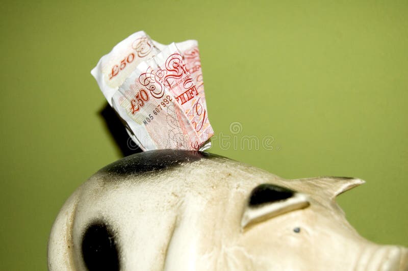 money pig with money