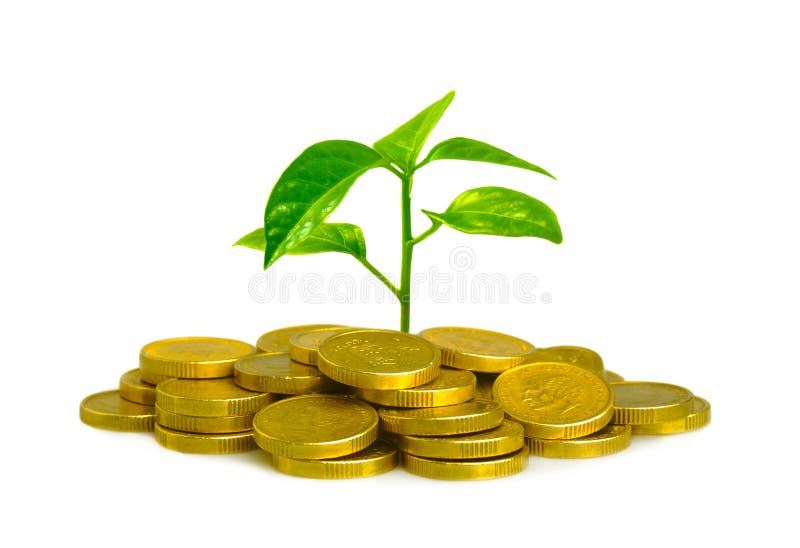 Money and plant