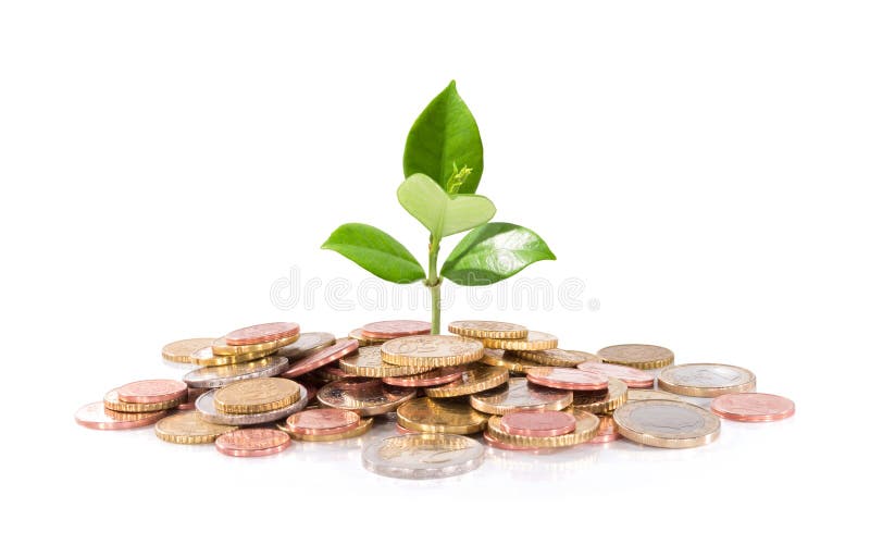 Money and plant - finance new business