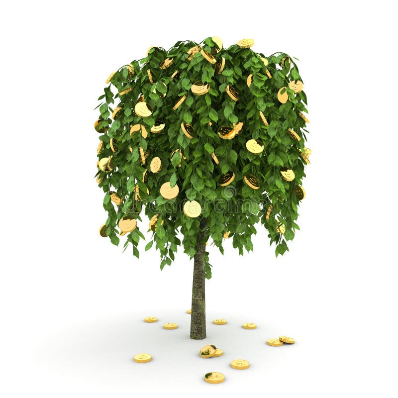 Money Tree. Stock Images Image 10107744