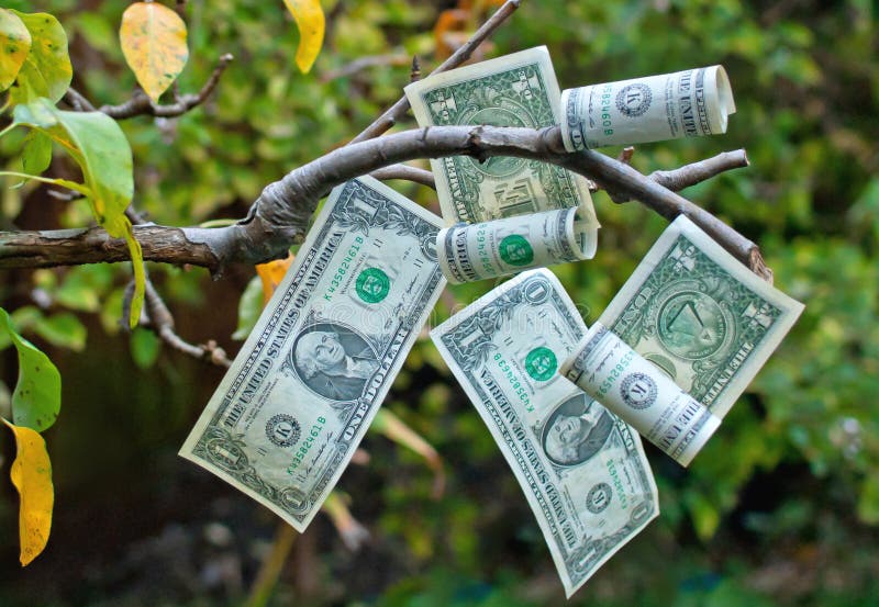 Money tree